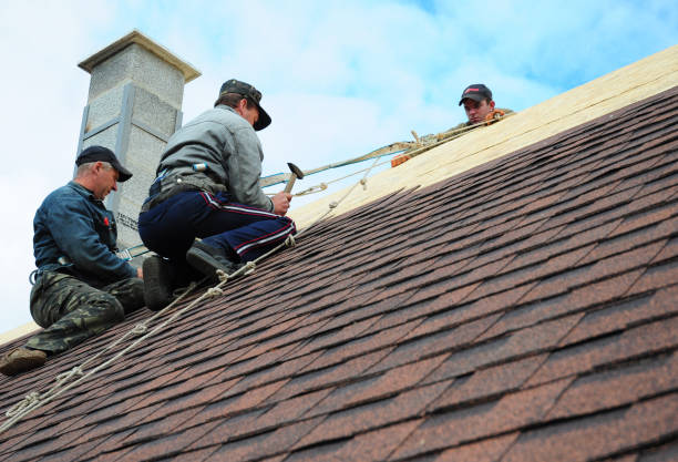 Best Best Roofing Contractors  in Leon, IA